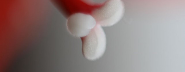 Amaryllis Up Close & Personal