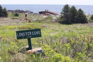 Monhegan Island: Top of trail into Lobster Cove