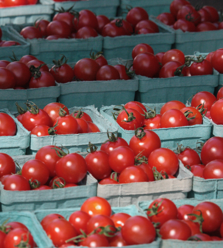 Portland Farmer's Market at Deering Oaks - Cherry Tomatoes