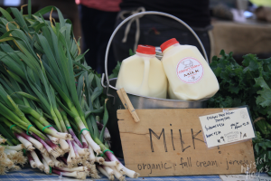 Portland Farmer's Market at Deering Oaks - Green Onions & Milk