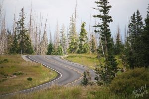 Road into Cedar Breaks National Monument