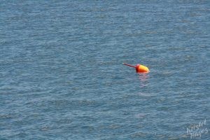 Lobster Buoy - Red Yellow