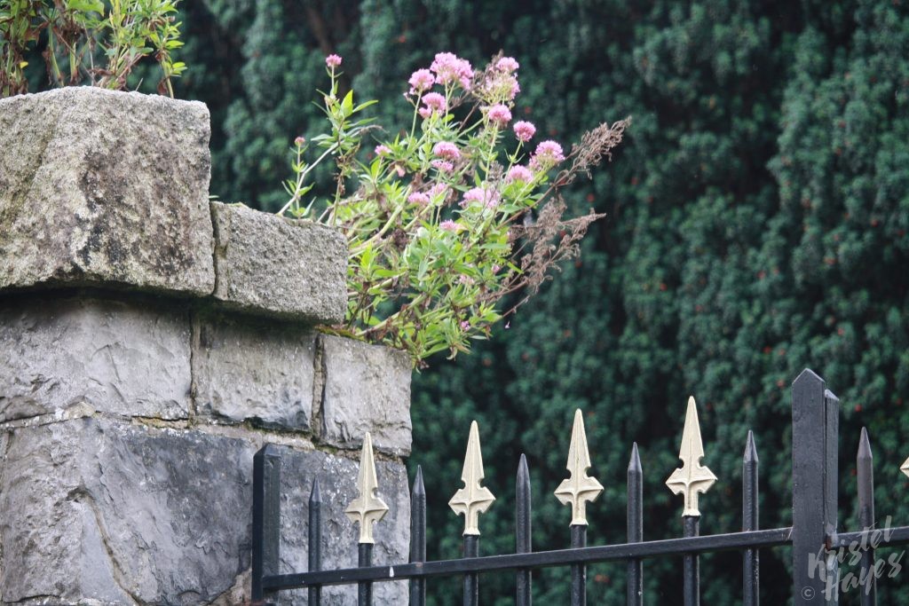 Gates Around Officers' Burial Ground Near IMMA, Dublin