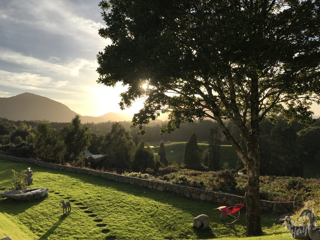 View From AirBnB-Killarney National Park, Ireland