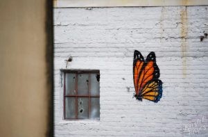 NOLA | Warehouse District | Butterfly Graffiti