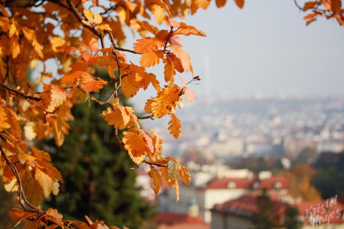 Fall in Prague